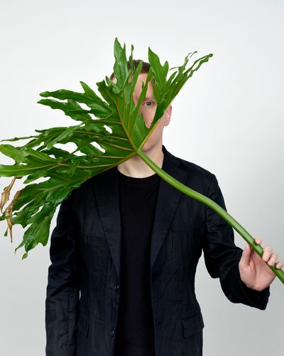 james webb bild